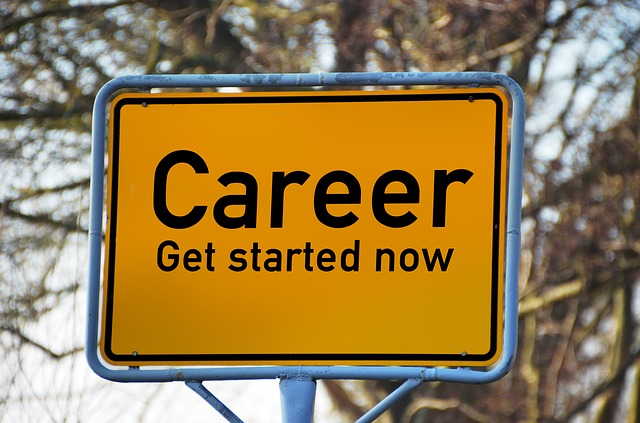 An image of a road sign with the word career.