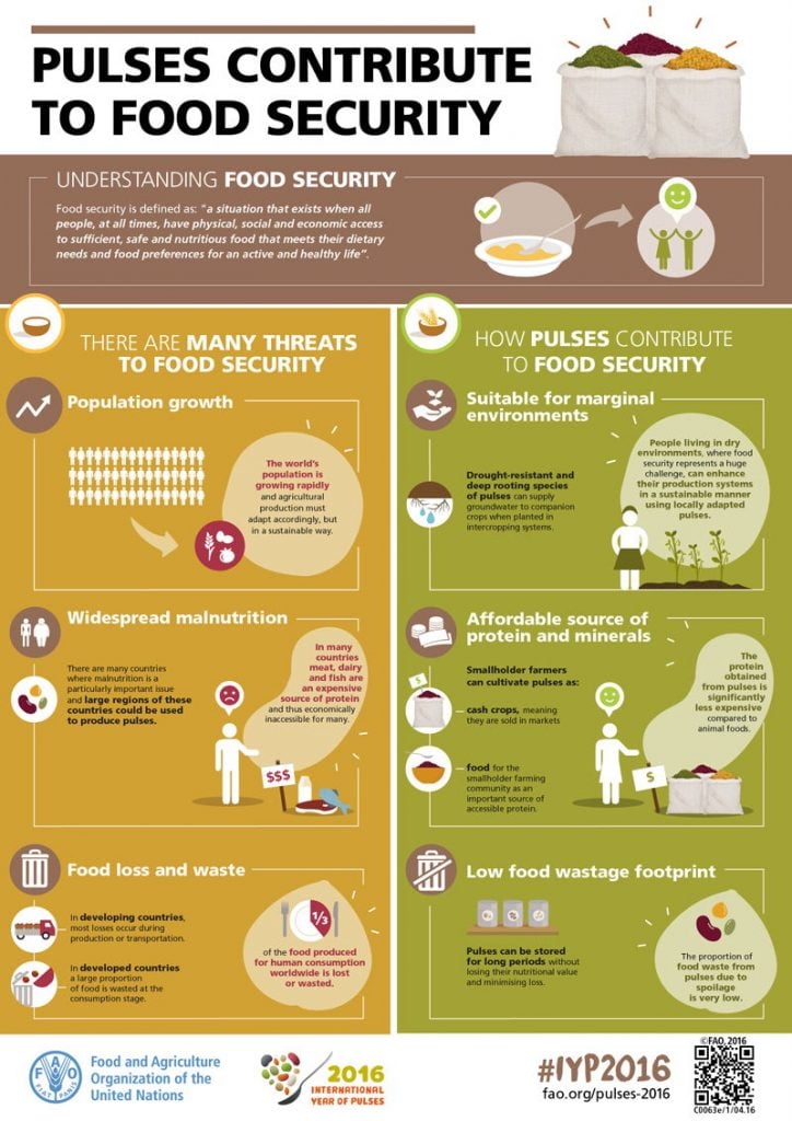 An infographic showing the ways in which pulses contribute to food security.