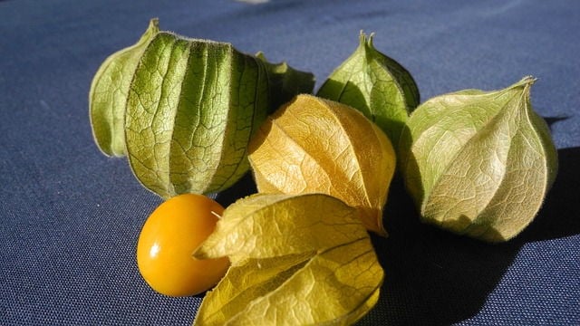 A picture of gooseberries on a flat surface.