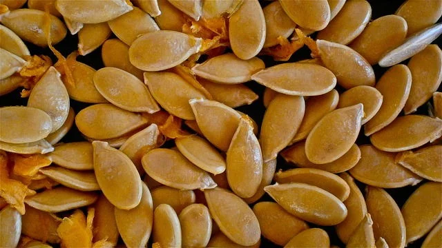 A picture of pumpkin seeds.